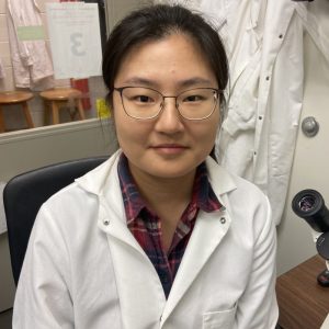 Danchen Wu – CREATE Training Program in Medical Informatics